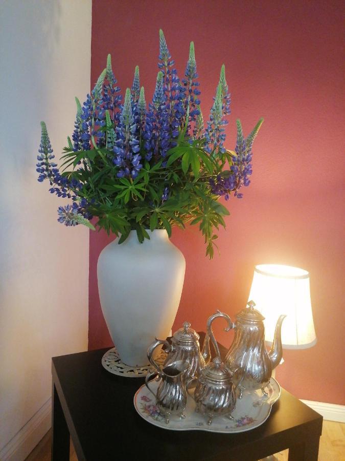 Bed&Breakfast Wagner "Im Alten Pfarrhaus" Neuruppin Extérieur photo